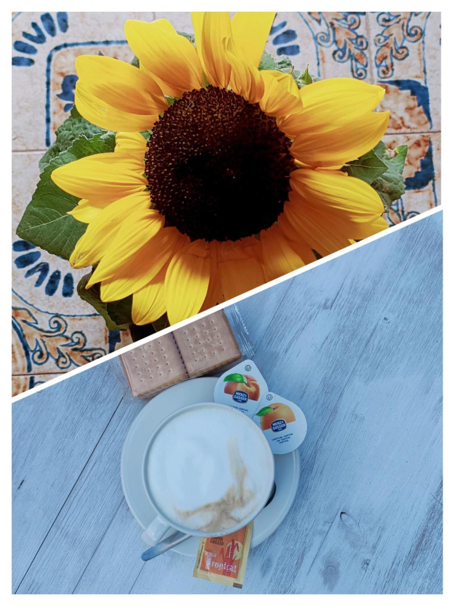 B&B Il Girasole Finale Ligure Exterior photo